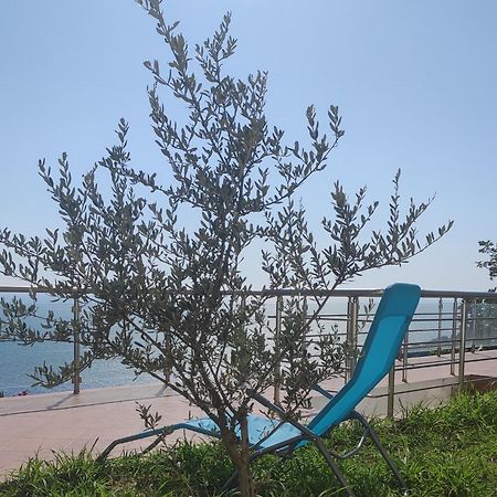 Apartment Oliva Ulcinj Buitenkant foto